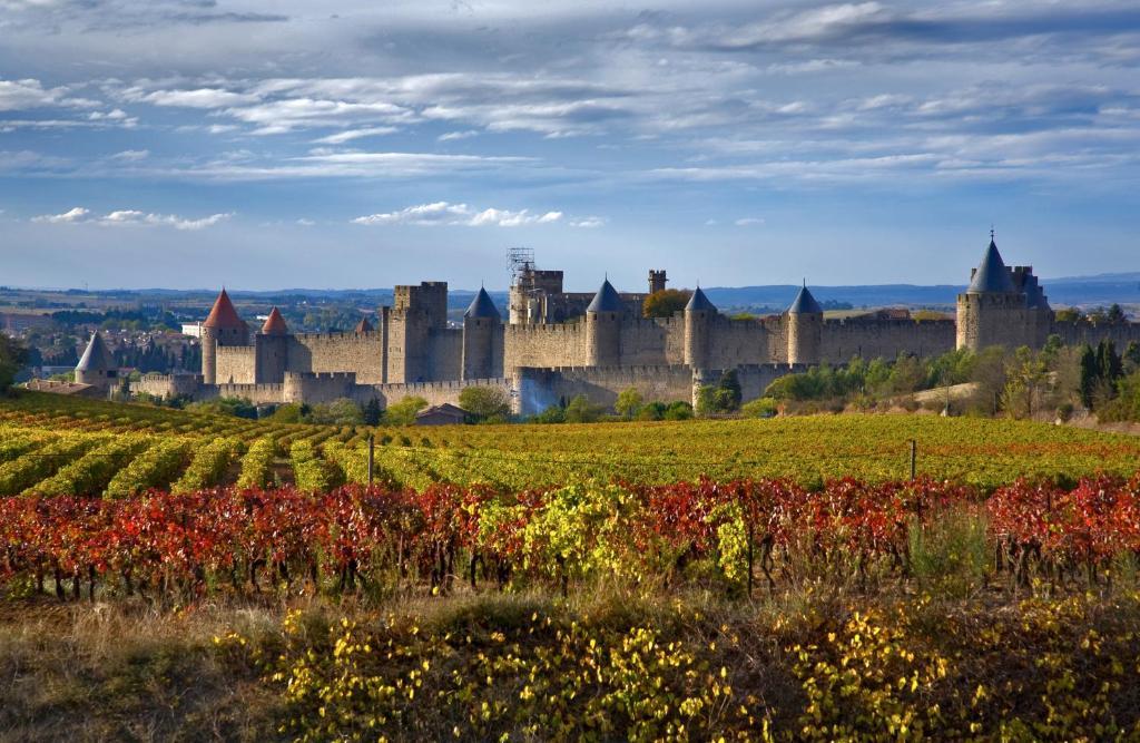 Bed & Breakfast Demeure Du Pareur Villeneuve-Minervois Екстер'єр фото